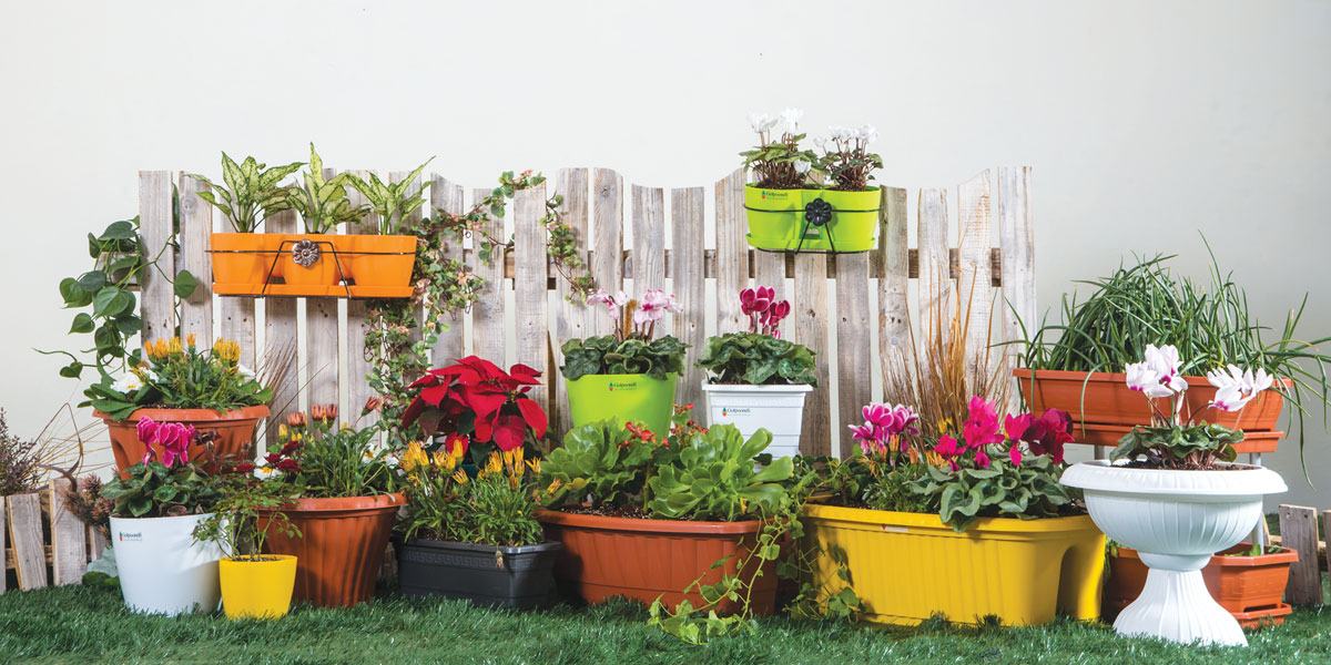 مهم ترین نکات برای خرید گلدان مناسب گل آپارتمانی